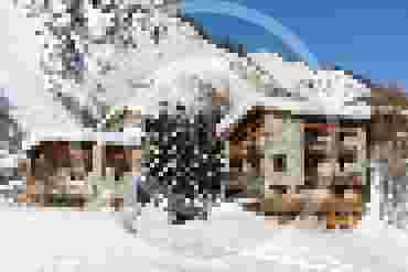 Professional Program for Kids and Parents