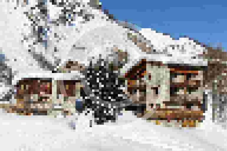 Professional Program for Kids and Parents